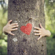 Herz auf Baum mit Umarmung
