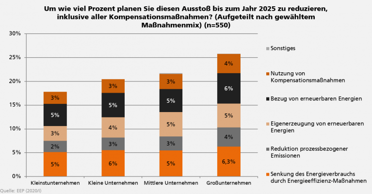 Maßnahmenmix aus dem Energieeffizienzindex (EEI) bis 2025 in deutschen Unternehmen