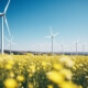 Windturbinen auf gelbem Blumenfeld symbolisieren Deutschlands Streben nach erneuerbarer Energie