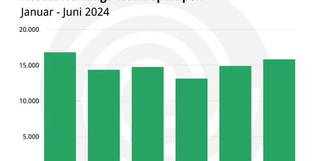 Diagramm zeigt den stabilen Absatz von Heizungs-Wärmepumpen von Januar bis Juni 2024